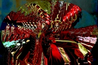 Vignette 05++Deambulations.jpeg 