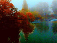 Vignette 11++Doubs_brouillard.jpeg 