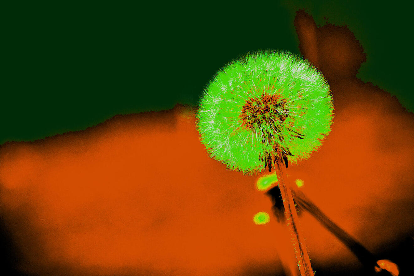 Diapositive 04++Terracotta.jpeg 