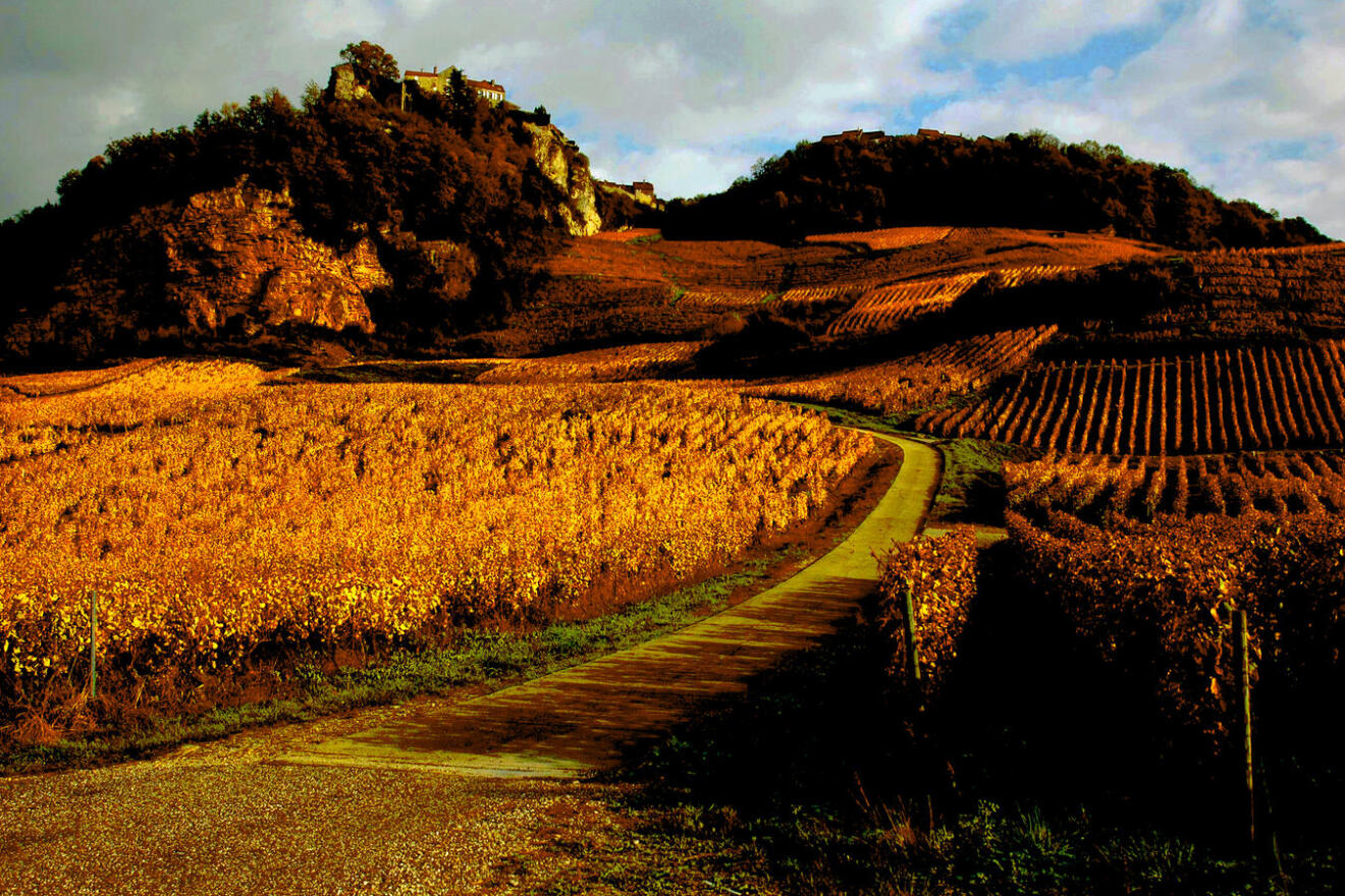 Diapositive 22++Terracotta.jpeg 