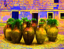 Ouvrir la sous-galerie Amphores 