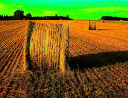 Ouvrir la sous-galerie Balles de foin 