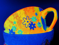 Ouvrir la sous-galerie Bols 