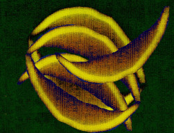 Ouvrir la sous-galerie Croissants 