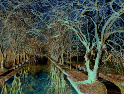 Ouvrir la sous-galerie Dentelle 