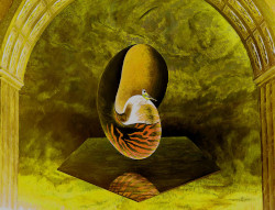 Ouvrir la sous-galerie Nautilus 