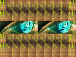 Ouvrir la sous-galerie Œil 