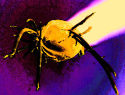 Ouvrir la sous-galerie OVNI 