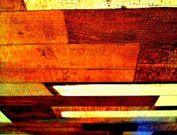 Ouvrir la sous-galerie Palissade 